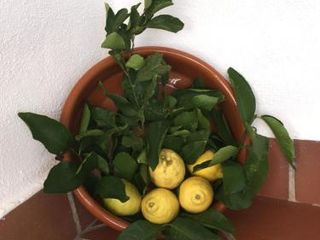 PEQUEÑO PARAISO