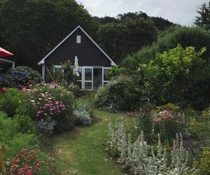 Hahei Kereru Cottage Hahei New Zealand