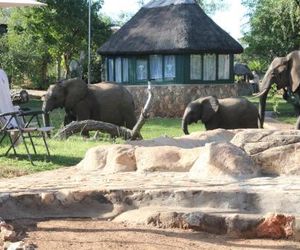 Baluleni Safari Lodge Mica South Africa