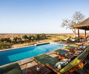 Misava Safari Camp - Klaserie Drift Thornybush Game Reserve South Africa