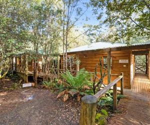 Cradle forest inn Promised Land Australia