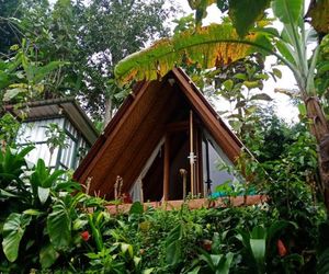 donk losog bedugul camp Munduk Indonesia