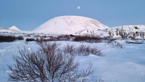 صورة الفندق 23