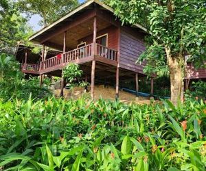 Sweet Jungle Bungalows Koh Rong Island Cambodia