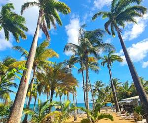 Brise Marine Sainte Luce Martinique