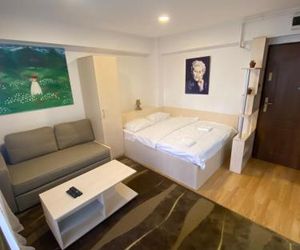 Studio Sinaia Mirage Sinaia Romania