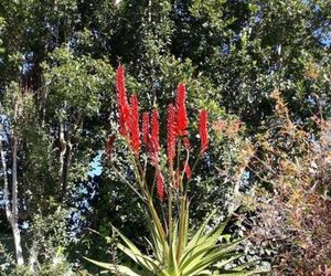 Winterson en Somerkoelte Swellendam South Africa