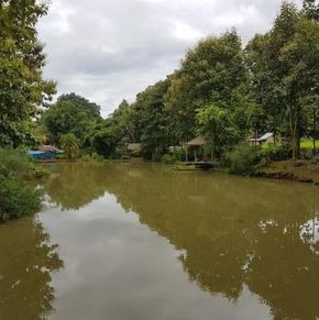 NearBy Hotel