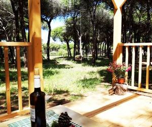 The PineForest Cabin Chiclana de la Frontera Spain