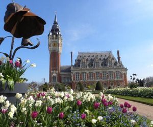 DOMITYS - Le Fil de Soie Calais France