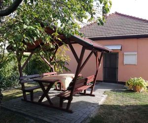 Holiday home in Balatonfenyves 38430 Balatonfenyves Hungary