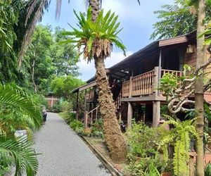 3 Sparrows house bed and breakfast San Pa Tong Thailand