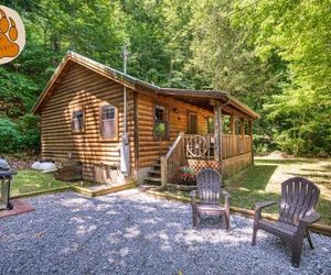 Mosey Bear - New Listing Sevierville United States