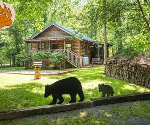 Cozy Bear - New Listing Sevierville United States