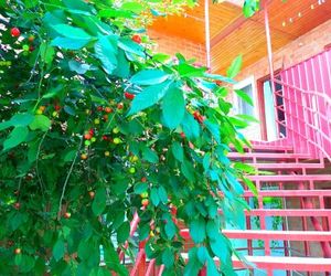 U Azovskovo Morya Mini-hotel Yeysk Russia