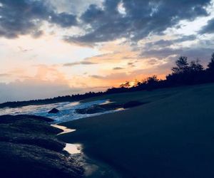 The Cool Nest Yala Hotel Tissamaharama Sri Lanka