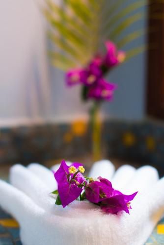 صورة الفندق 4