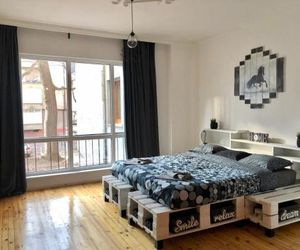 Spacious modern vintage flat in the heart of Sofia Sofia Bulgaria