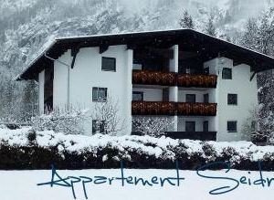 Appartement Seidner Baumgarten Austria