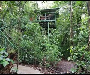 Jungle Living Tree Houses Monteverde Costa Rica