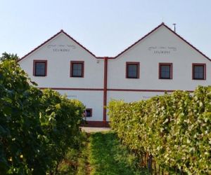 Penzion a vinařství Lelíkovi Dolni-Dunajovice Czech Republic