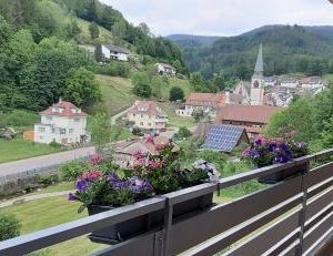 Steepleview House, Apartment 2 - cozy & serene apartment for 2 Bad Peterstal-Griesbach Germany