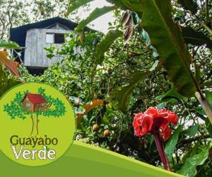 Guayabo Verde Cariaco Ecuador
