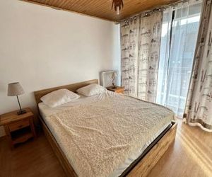 Grand appartement lumineux 53m², 3 pièces, 6 à 8 pers, centre station, pied pistes Les Deux-Alpes France