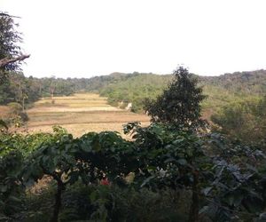 Magnolia Mist Madikeri India