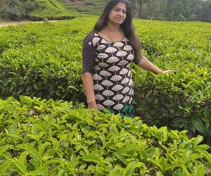 Blackcherry Munnar Devikolam India