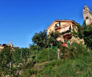 Felicin - Villa Stella Monforte Italy
