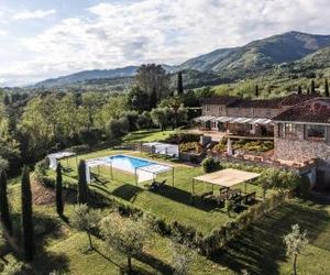 Eco wine farm Capannori Italy