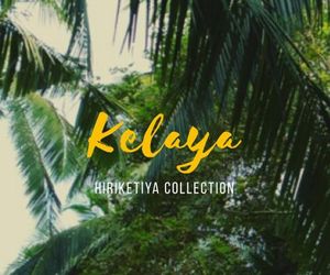Kelaya at Hiriketiya Collection Dikwella North Sri Lanka