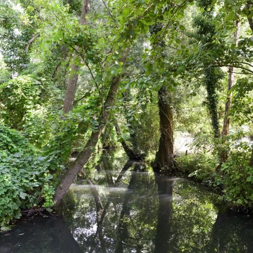 صورة الفندق 8