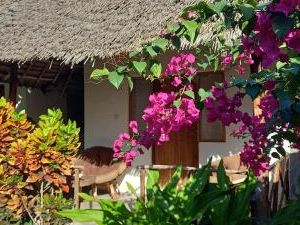 Morningstar Bungalows Zanzibar Matemwe Tanzania
