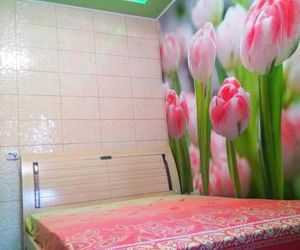 Апартаменты стадион Металист tulips Kharkiv Ukraine