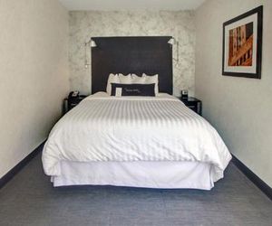 Solita Soho Hotel New York City United States