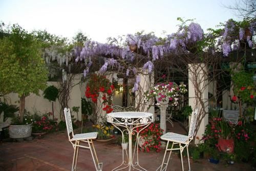 صورة الفندق 13