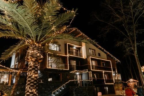 صورة الفندق 1