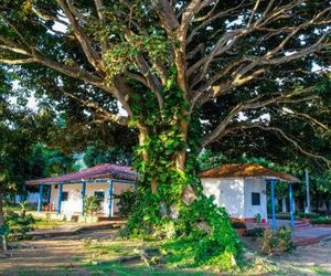 Finca del Rio Palomino Nevamar Colombia