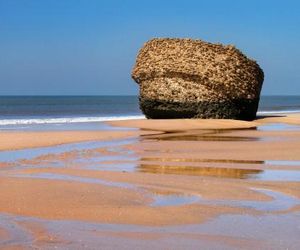 Estudio primera linea de Playa Matalascañas Matalascanas Spain