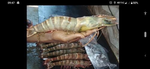 صورة الفندق 2