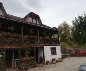Casa Cozorici Sadova Romania