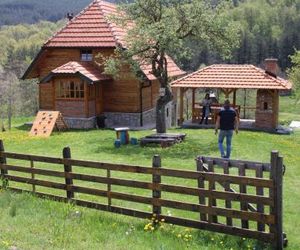 Kuca Karajic Mokra Gora Serbia