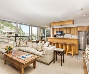 Durant Condominiums Unit B202 Aspen United States