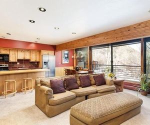 Durant Condominiums Unit D3 Aspen United States
