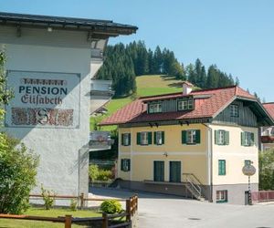 Ferienhaus Elisabeth Russbach am Pass Gschutt Austria