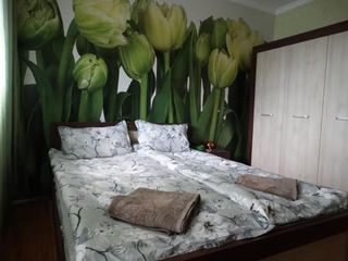 Hotel pic Tulips - guest room close to the Airport, free street parking