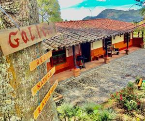 Galicia Jardin Colombia