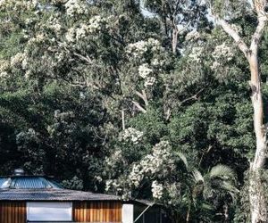 Surfaris Retreat Crescent Head Australia